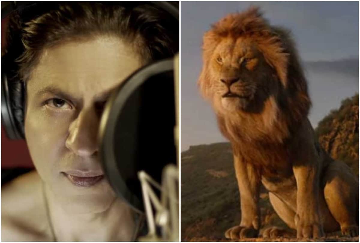 the lion king is special film for shah rukh khan here is why