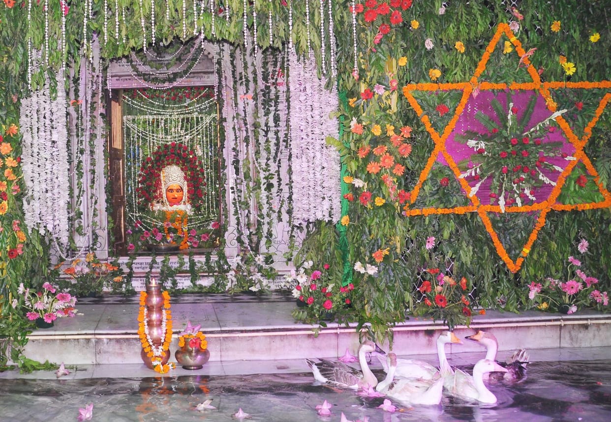 utsav in temple