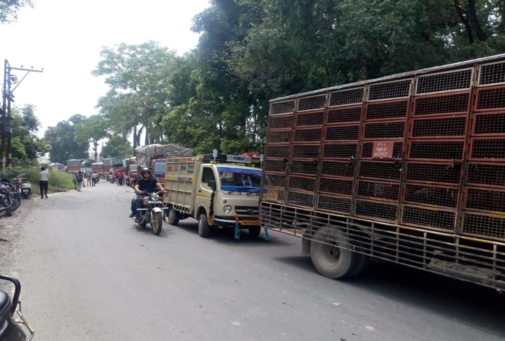 Dumper Run on 100 speed for 500 Rupees killed many people in dehradun News