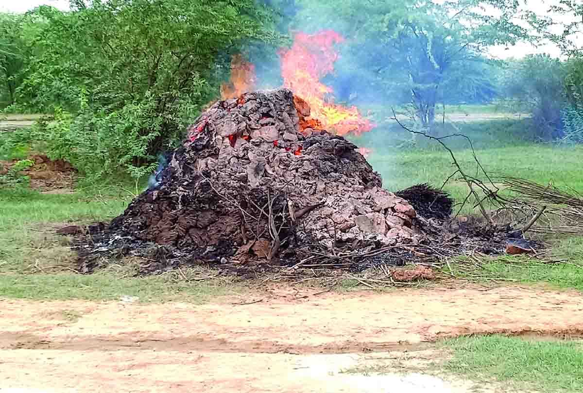 husband brutally murdered his wife in etawah