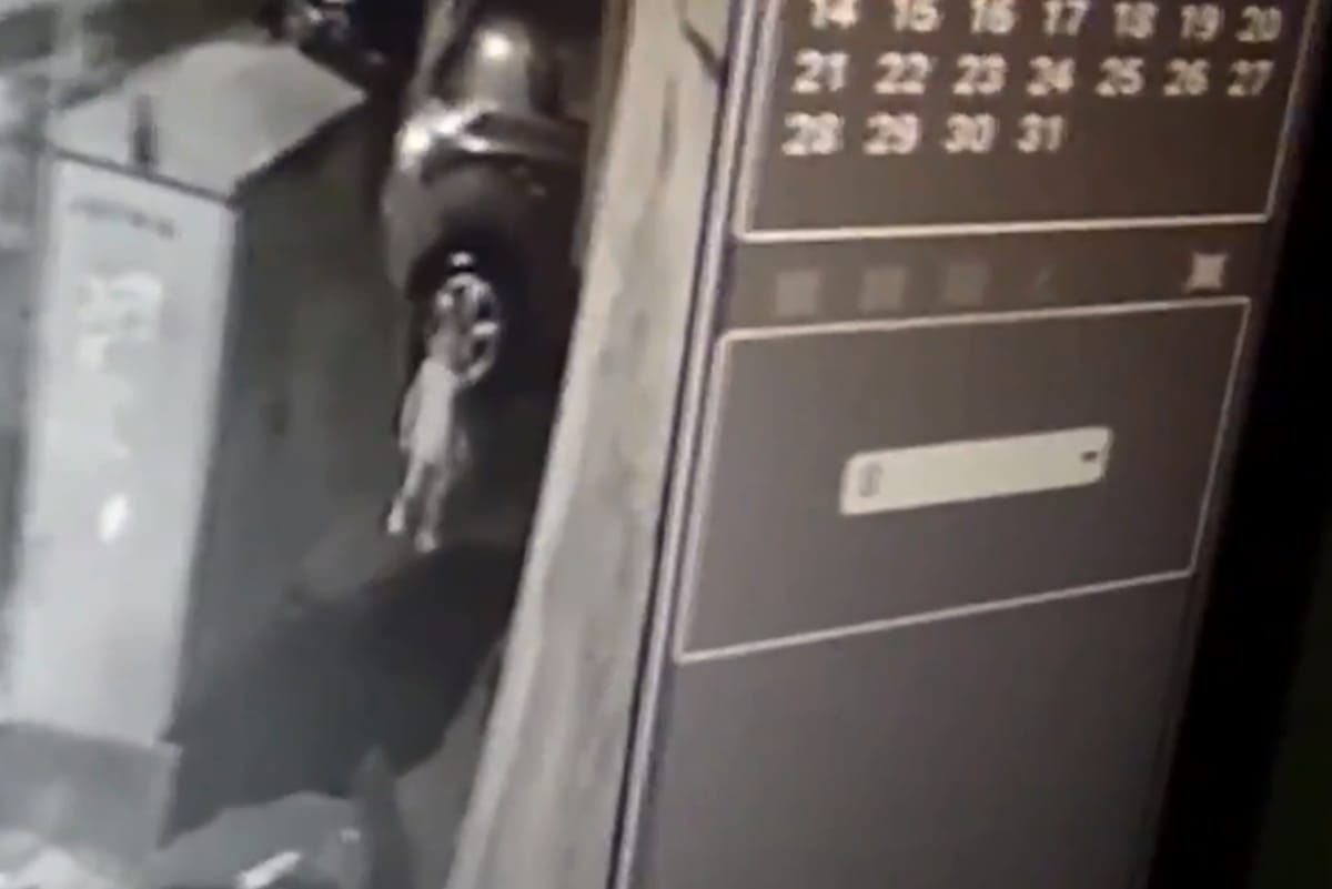 3-year-old boy fell in a gutter in Ambedkar Nagar area of Goregaon, Rescue operations underway