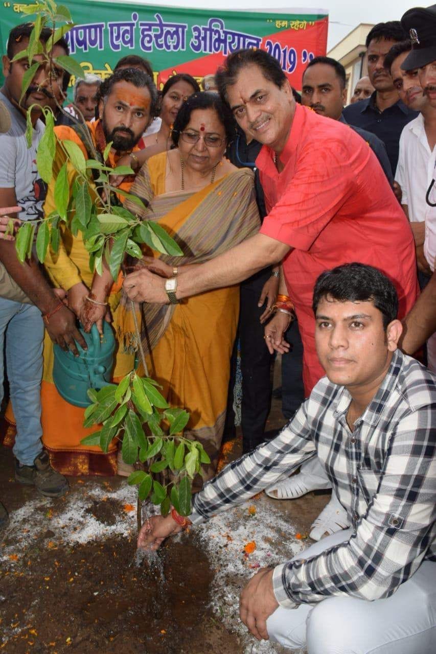 Protection is emportant after plantation