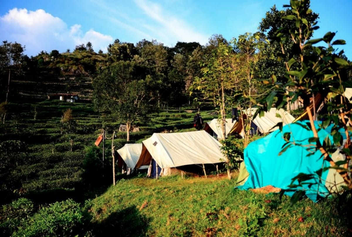 camping tips and advice to to enjoy safe and pleasant trip