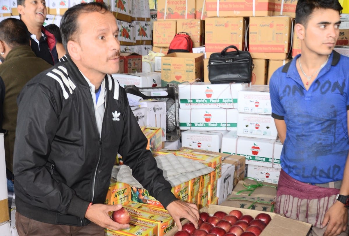 Spur Apple of himachal sold at the record rate till now in This season