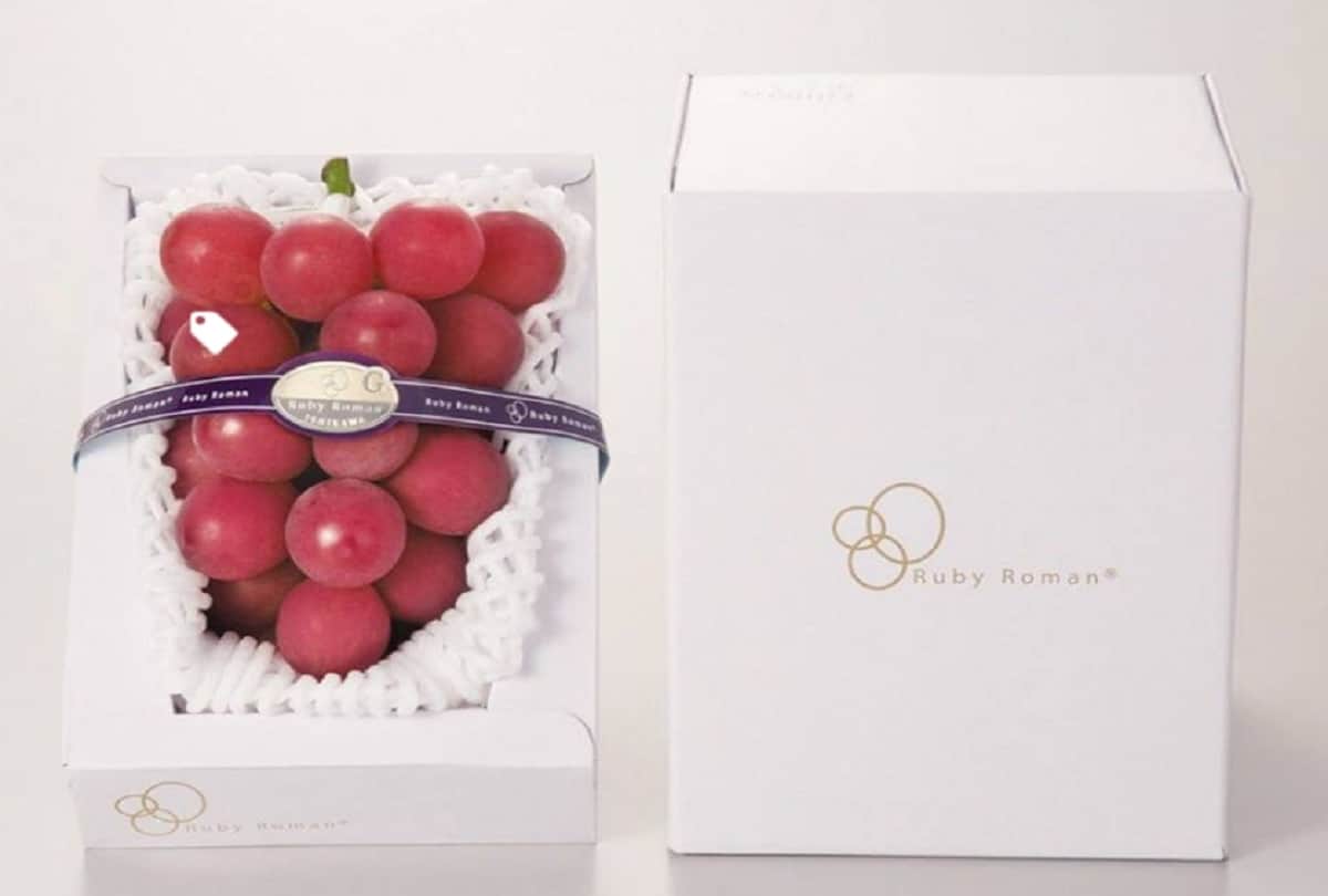 ruby roman most expensive grapes which one bunch price is 7.5 lakh rupees