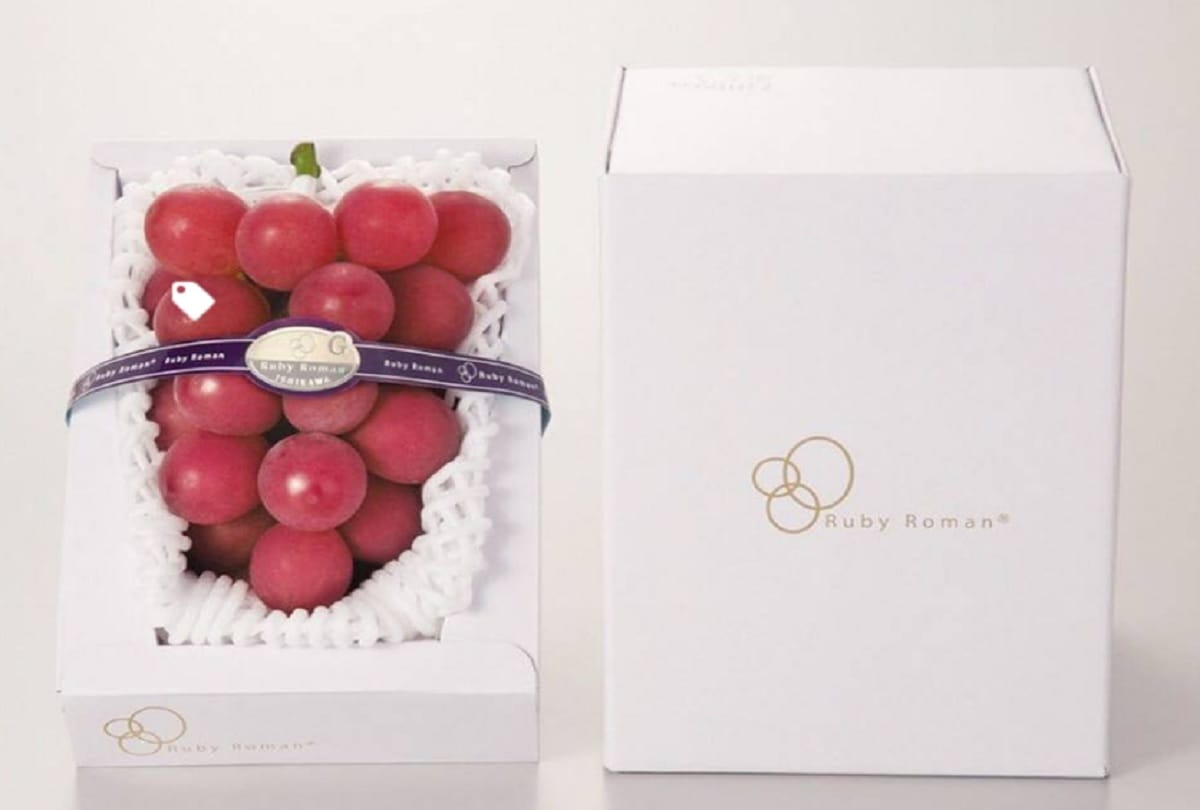 ruby roman most expensive grapes which one bunch price is 7.5 lakh rupees