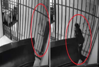 Thin Prisoner Breaks Free By Squeezing Through Cell Bars in bolivia Video Viral