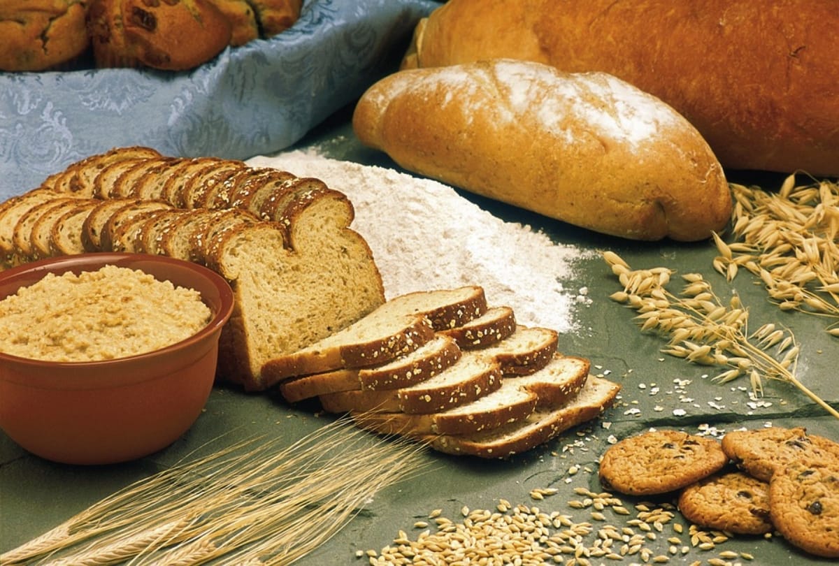 Monsoon Diet: Probiotic Foods for healthful diet