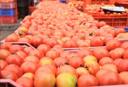 uttarakhand news: vegetable rate list uttarakhand today 25 november tomato price crossing 80 rs