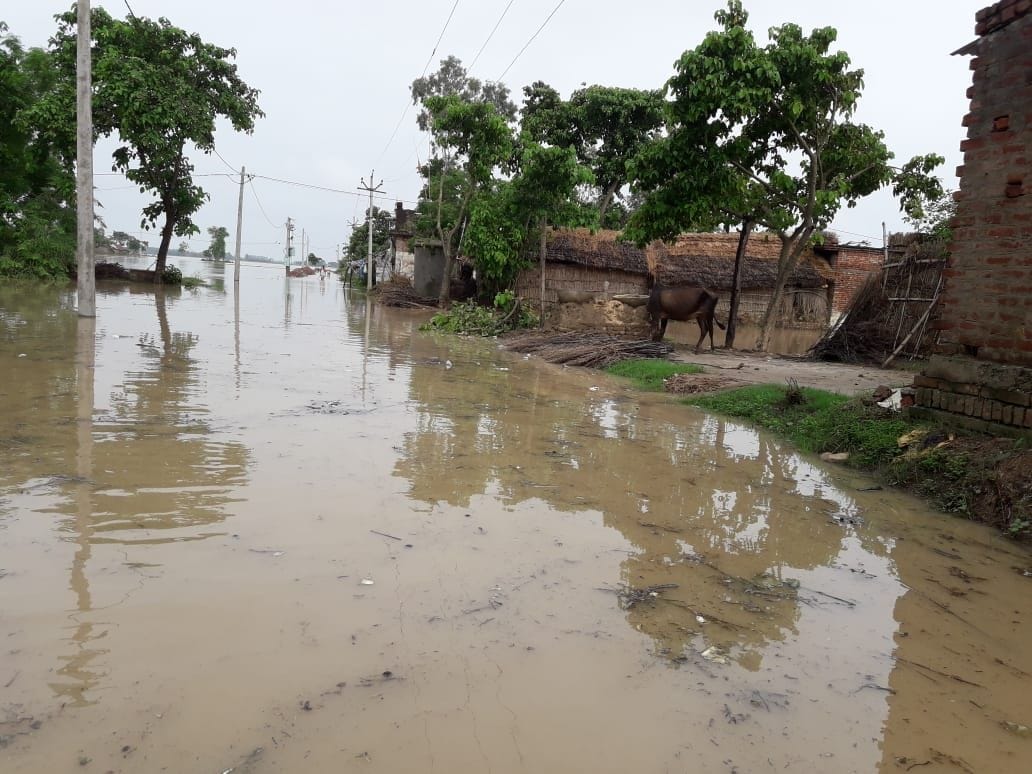 Flood in Sravasti