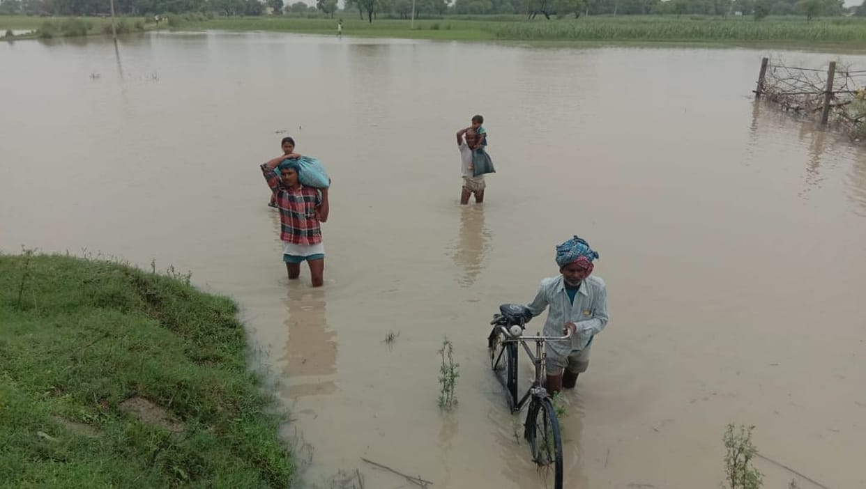 rain