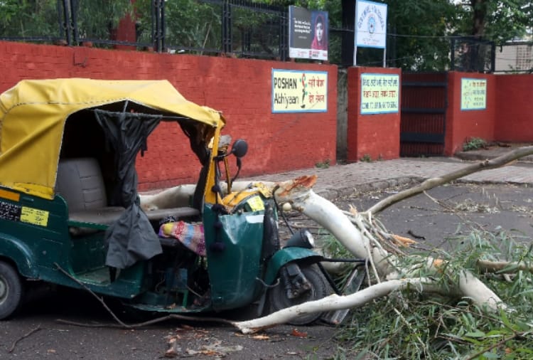 Auto Driver died due to tree fall On Auto In Chandigarh