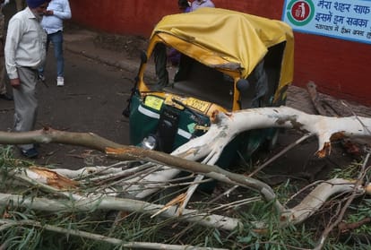 Auto Driver died due to tree fall On Auto In Chandigarh