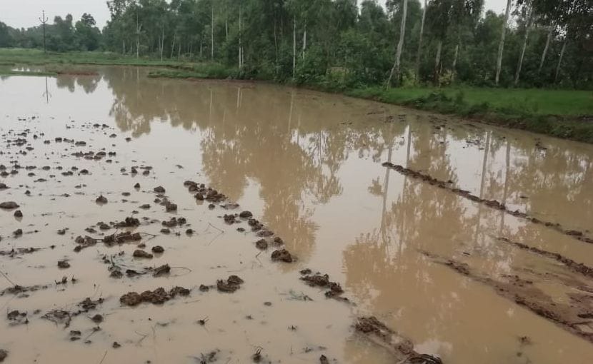 three drown in pit of illegal mining