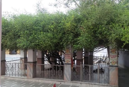 Haryana Latest News: Glorious History Of Kosali Village Of Haryana