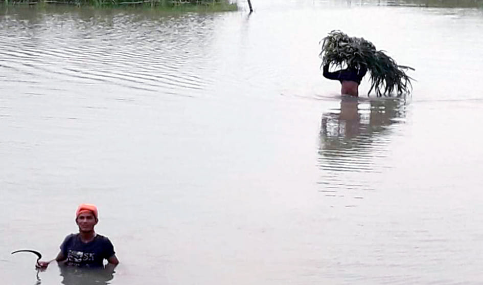 sharda river water level increased