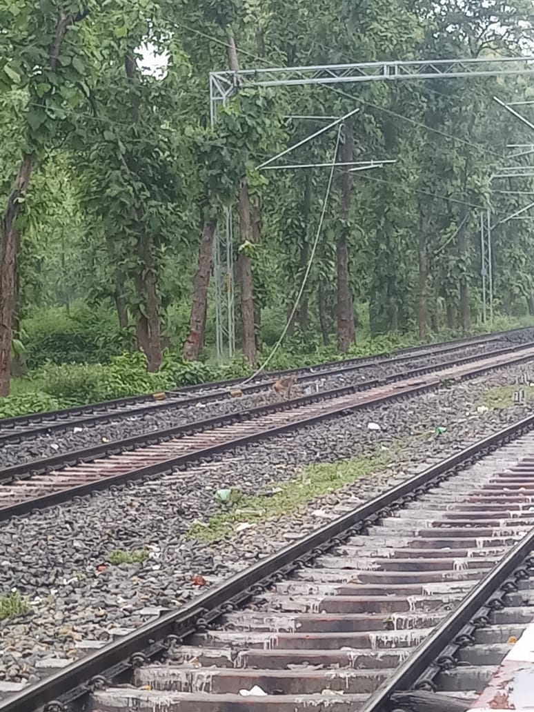 ht wire fallen on track, trains detains