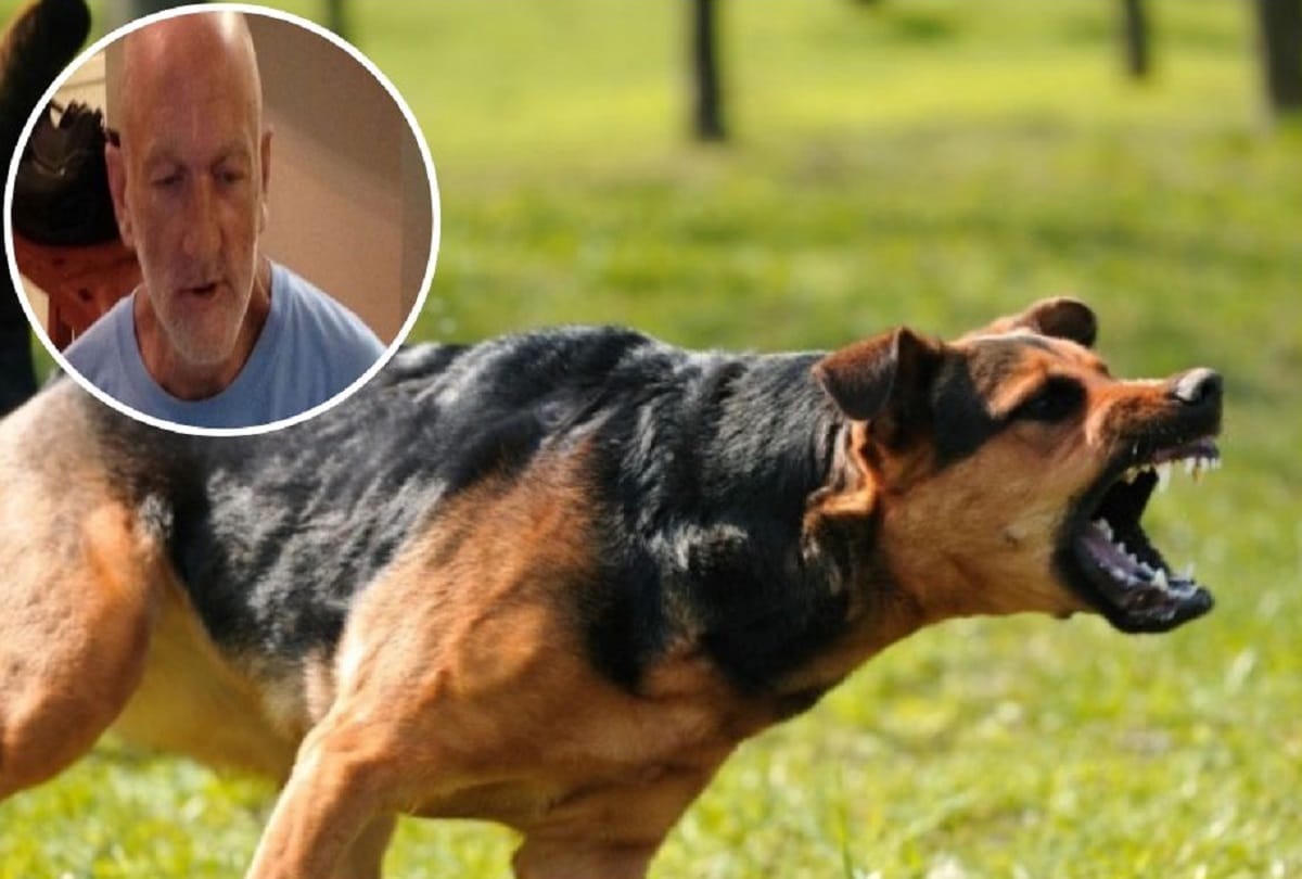 Missing man was eaten by his own dogs in Texas