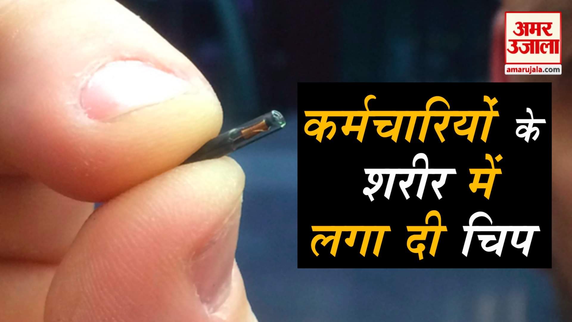 डिजाइन पिक्चर