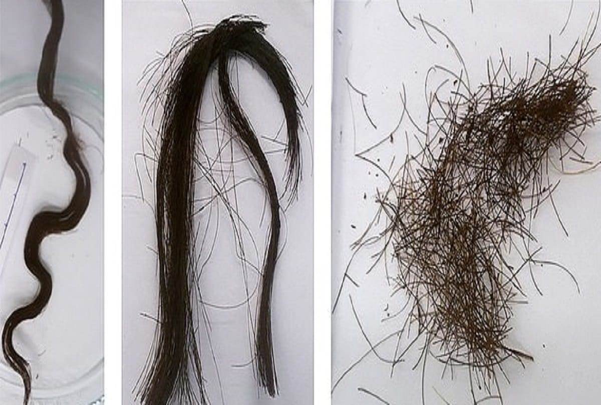 Mummies secret scientists find how to preserved hair of ancient egyptian noblewomen