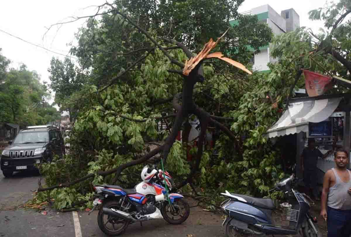 tree fall down on home and cars in kanpur