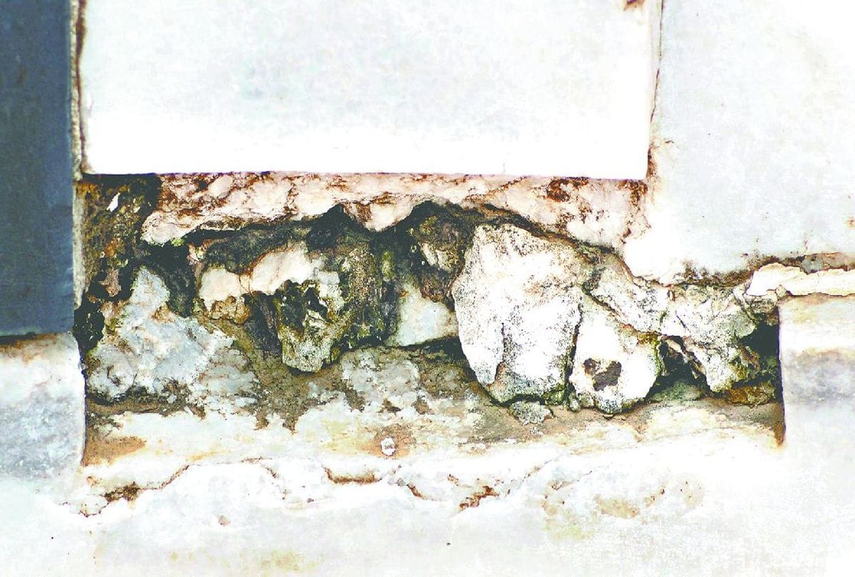 water leakage in Taj Mahal minarets