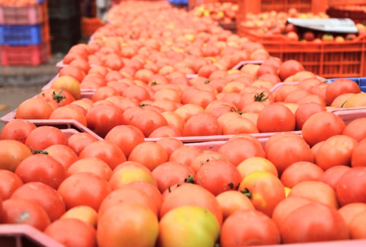 Now fruits and vegetables will reached at your home on a phone call