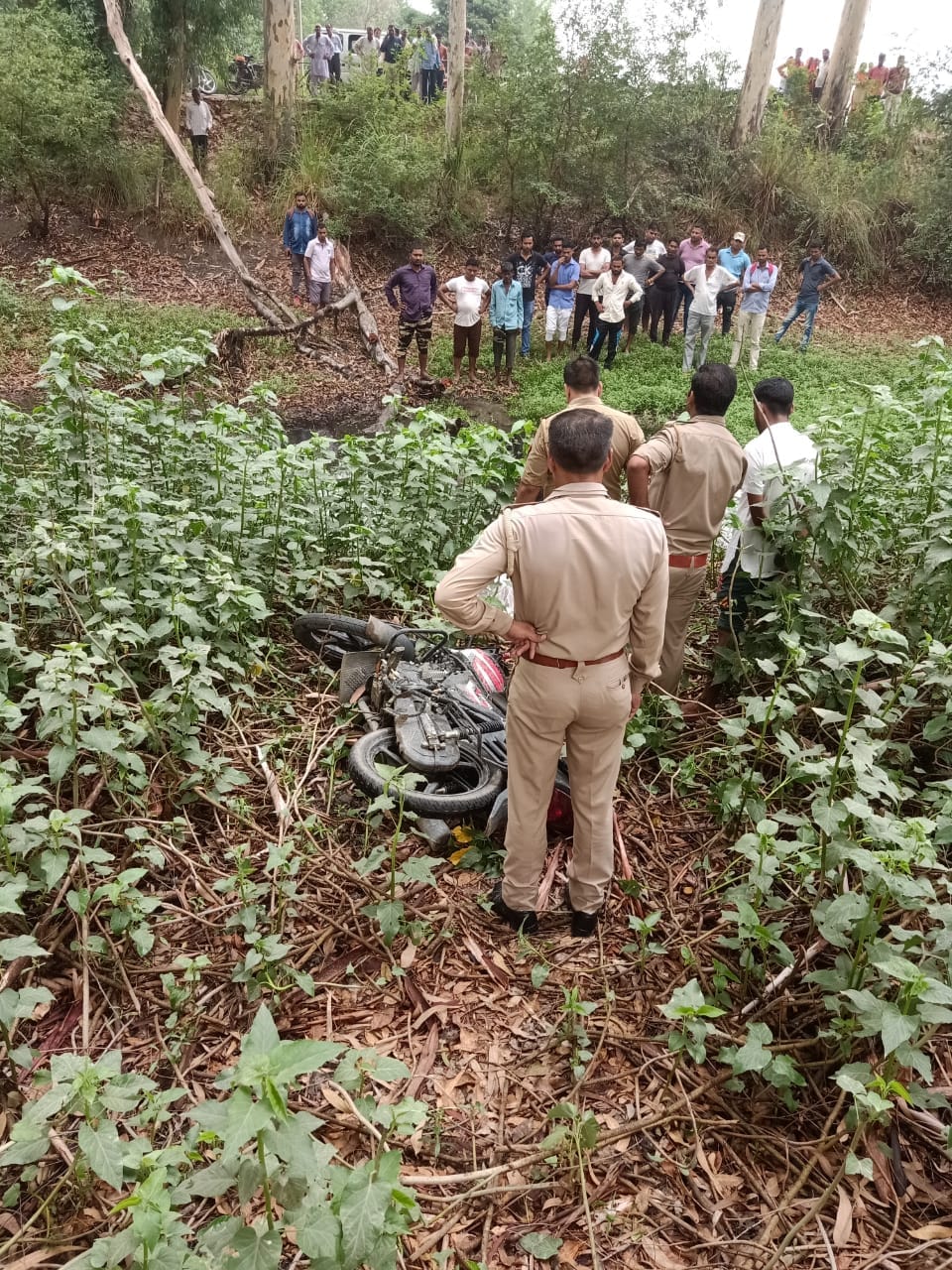 murder of farmer