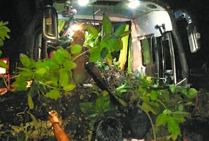 A big tree falls down on a tourist bus in Sultanpur.