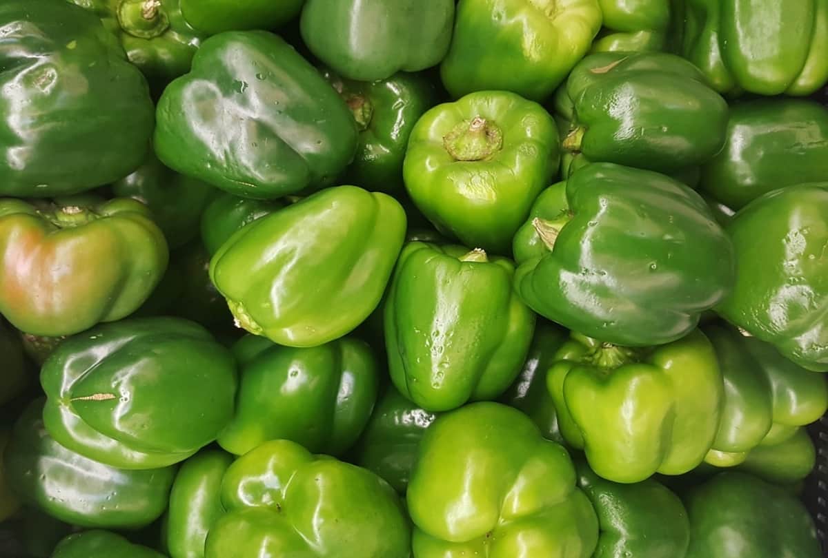 Capsicum Sabji Recipe How To Make Shimla Mirch Ki Sabji Banane ki Vidhi In Hindi