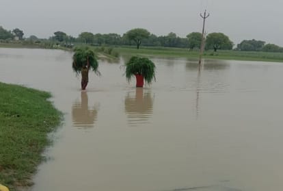 Weather effect in Uttar Pradesh.
