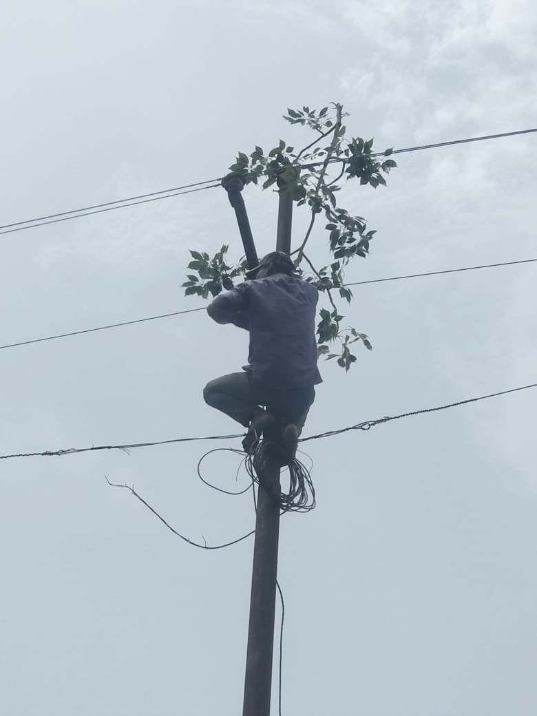 In the main line, the twigs, hours lightning block