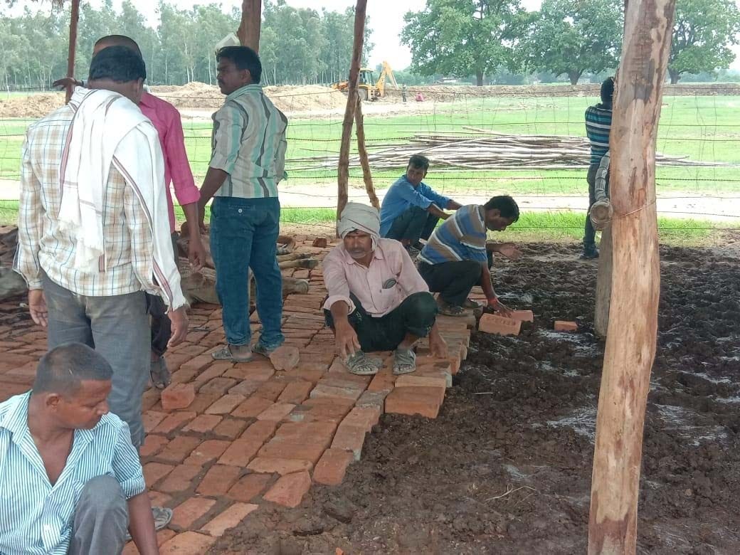 18 cows died on shelters