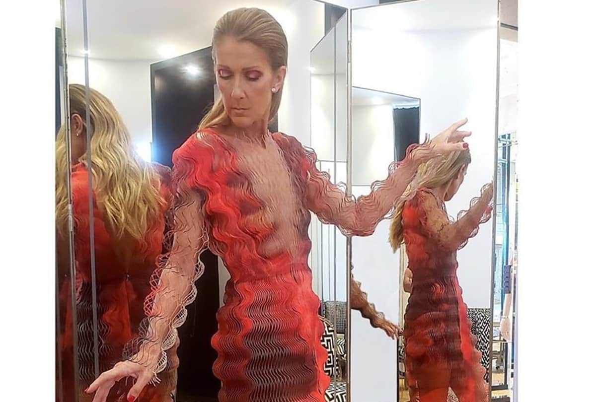 Celine Dion leaves fans in shock at the Paris Fashion Week