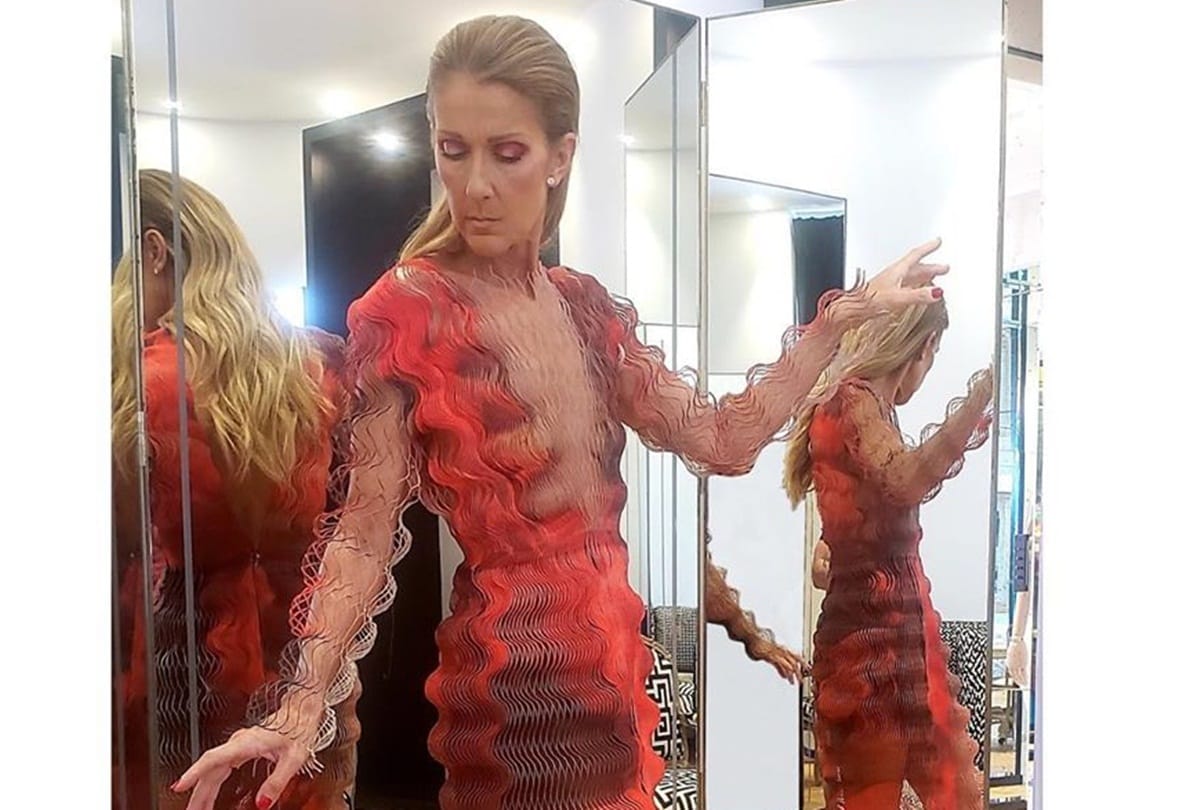 Celine Dion leaves fans in shock at the Paris Fashion Week