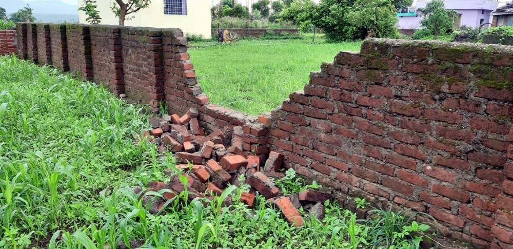 In Khadri, the elephant thrived, crushed the wall