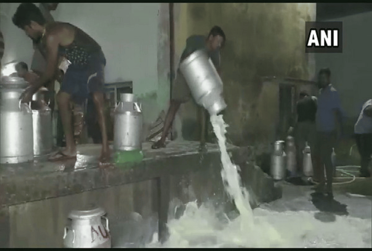 Dairy farmers in Basudebpur spilled milk on the road as a mark of protest against OMFED