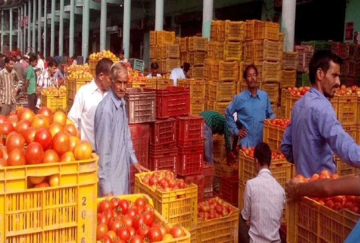 Know about make Tomato puree in home
