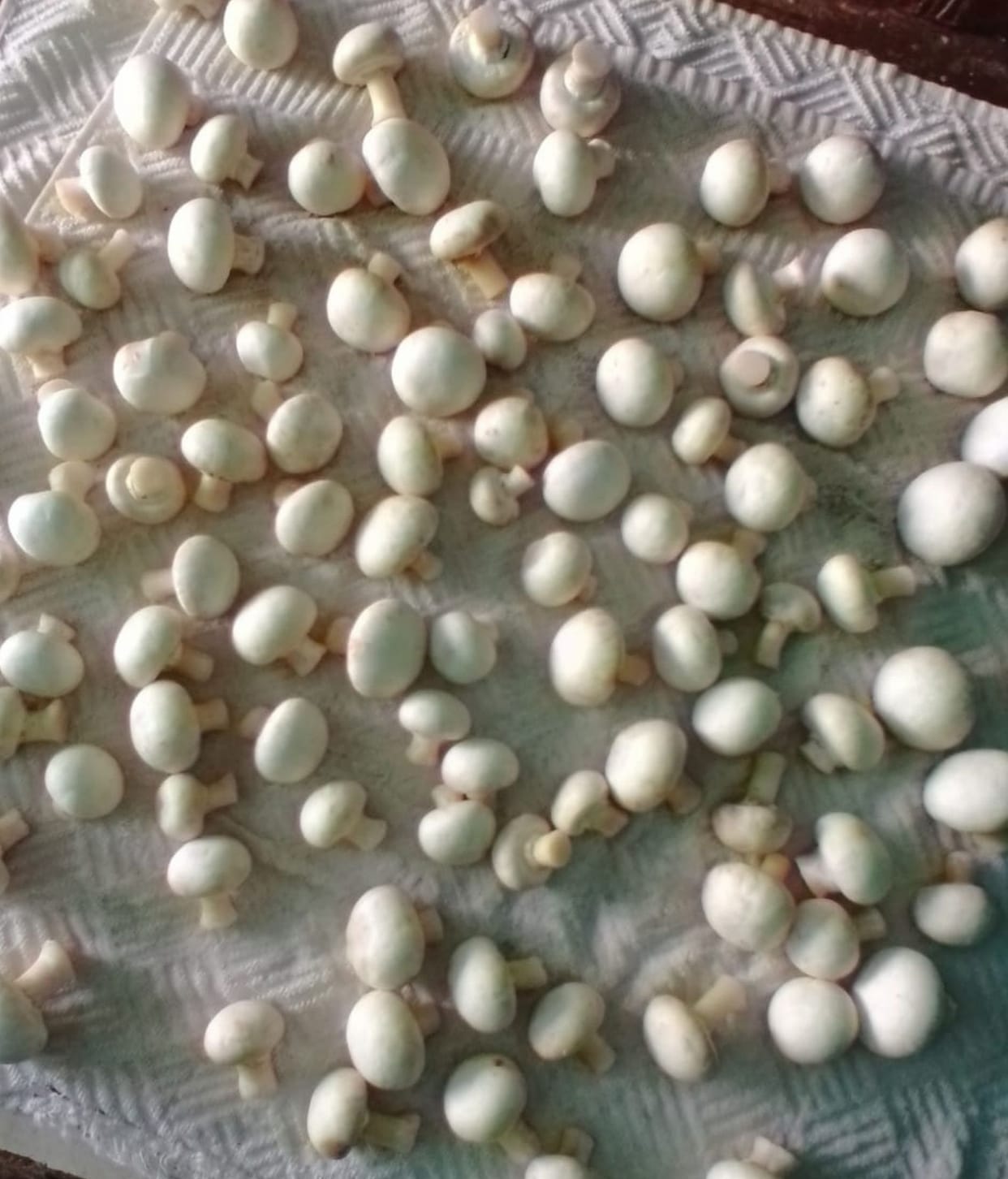 The income generated by the mushroom leaving job greed