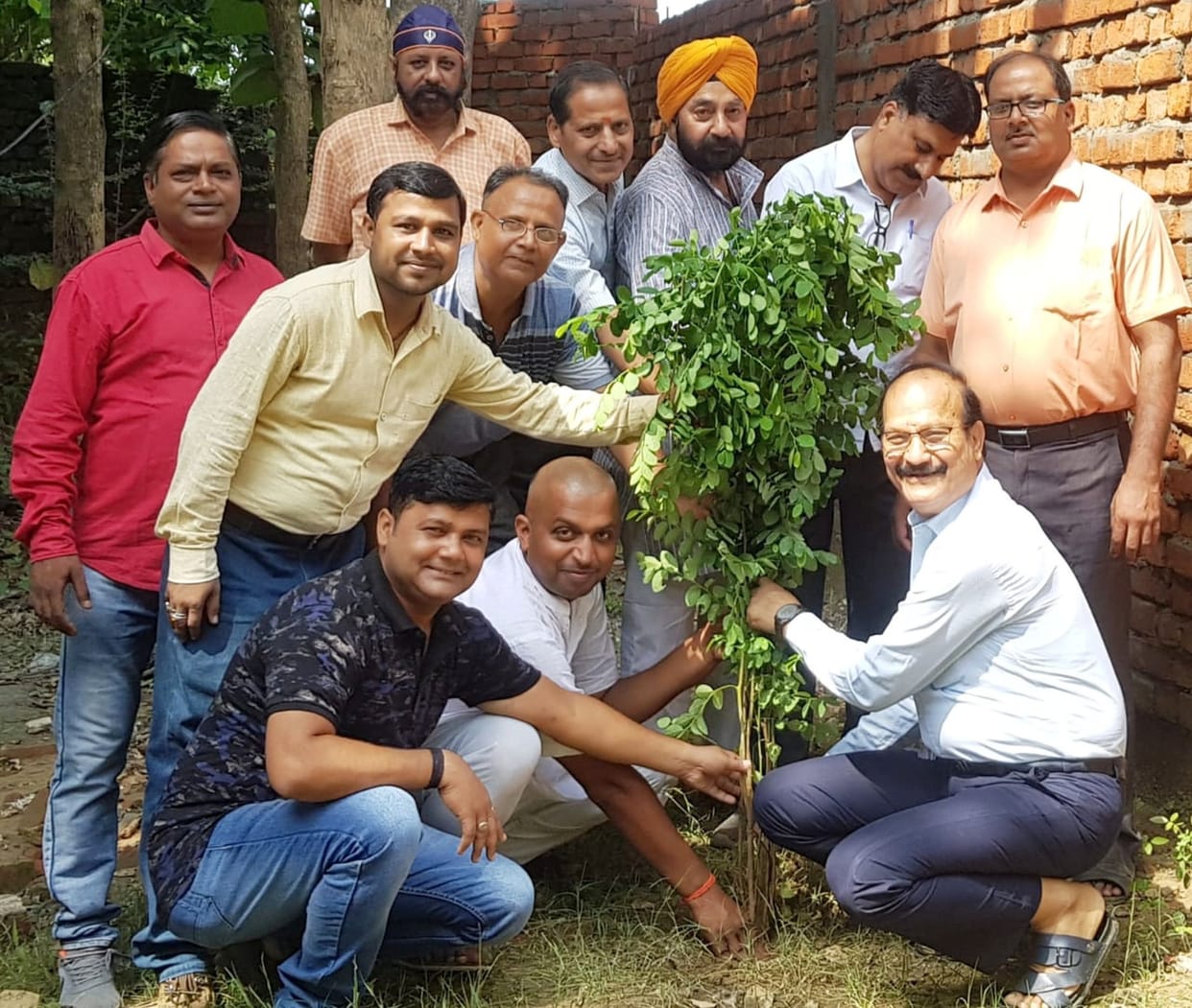 Plantation awareness