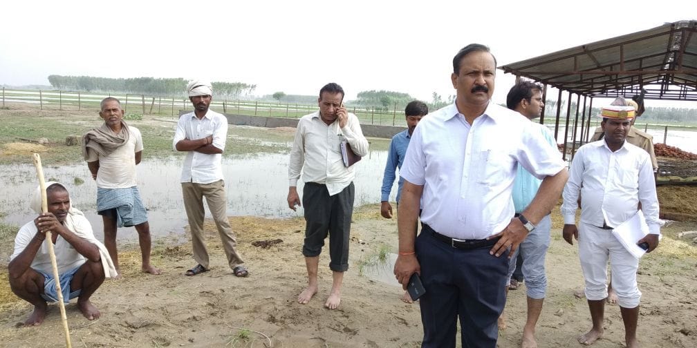 DM inspection cow house inspection the the DM