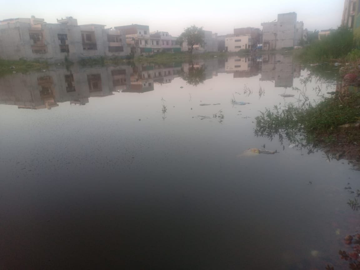 Dengu in shivalik vihar