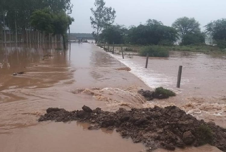 Weather updates: Record Break Rainfall In Punjab's Patiala