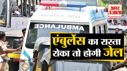 what is motor vehicle act 2019