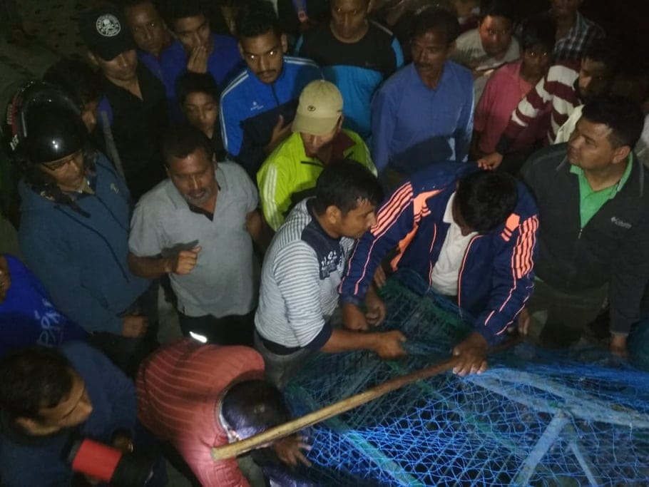 Leopard Rescued from house after 9 hours in pithoragarh village