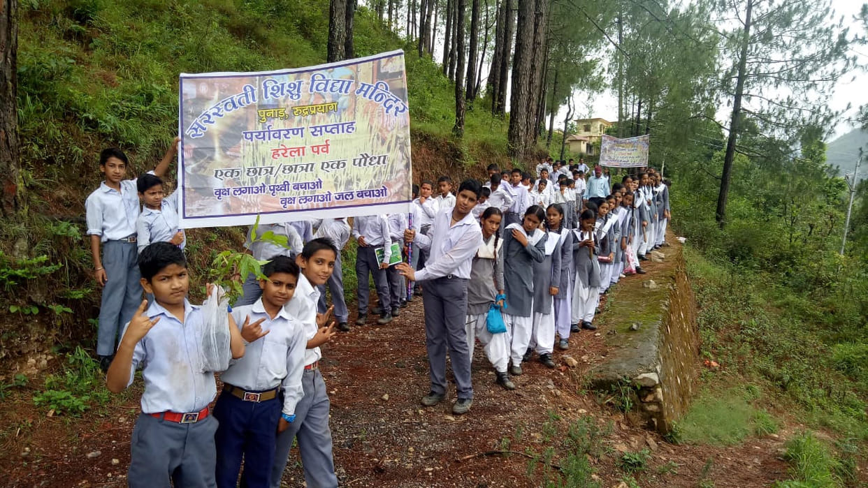 Planting Campaign in Bhattwari and Dharcoat