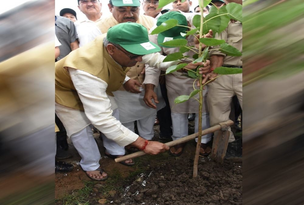 Harela festival 2019 cm told 6 lakh tree plantation target this year