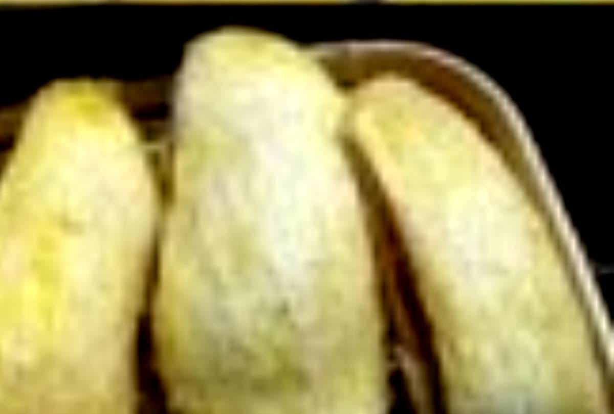 Know about the benefits of mango kernels