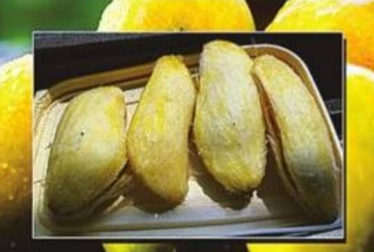 Know about the benefits of mango kernels