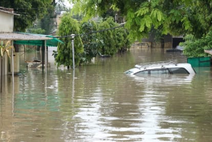 Weather Updates: Flood Situation In Punjab's Bathinda After Heavy Rain